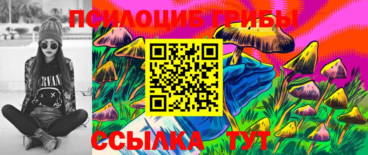 Псилоцибиновые грибы Cubensis Усинск
